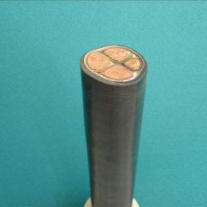 Fluoroplastic high temperature resistant power cable