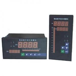 Intelligent digital display regulator