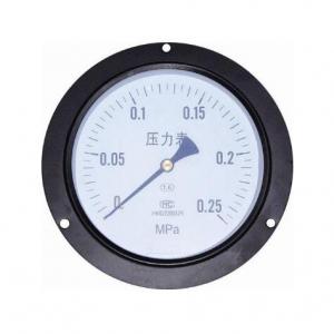 Y150ZT Axial pressure gauge with edge