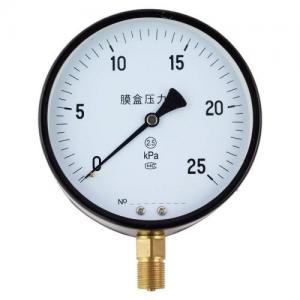 YE-100/150 diaphragm box pressure gauges